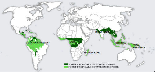 les zones des différentes forêts tropicales de la planète